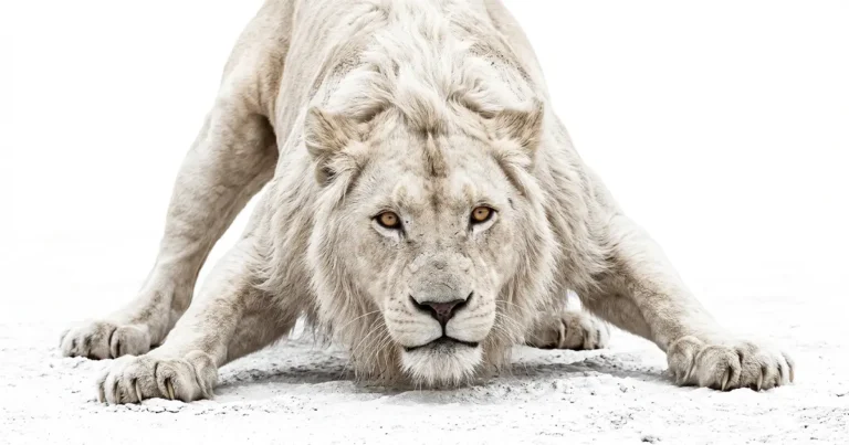 Why Founders Can't Quit Their Business: The Neuroscience Of Staying Stuck